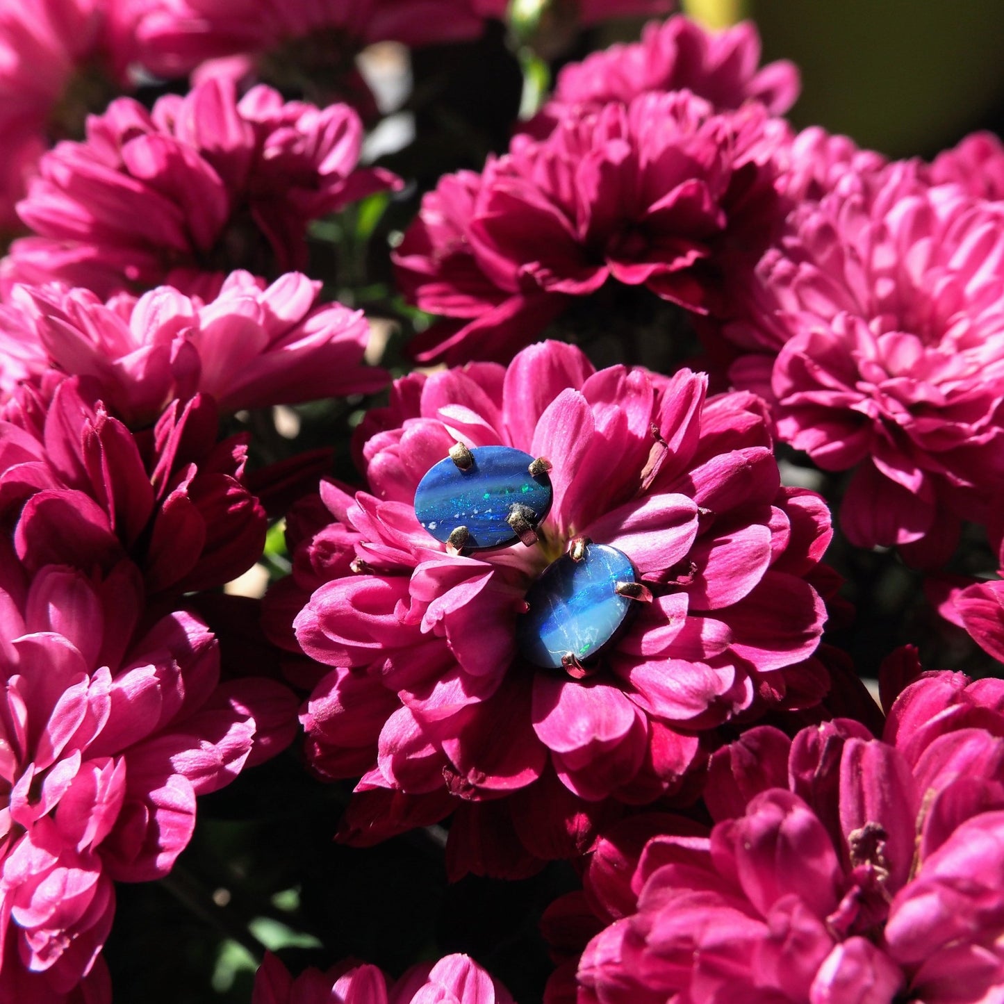 14k Opal Doublet Studs - Mettle by Abby