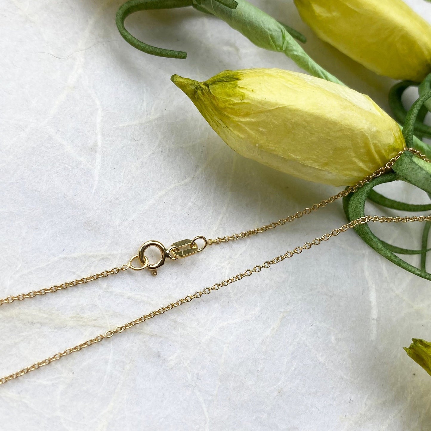 14k Yellow Gold Dainty Chain - Mettle by Abby