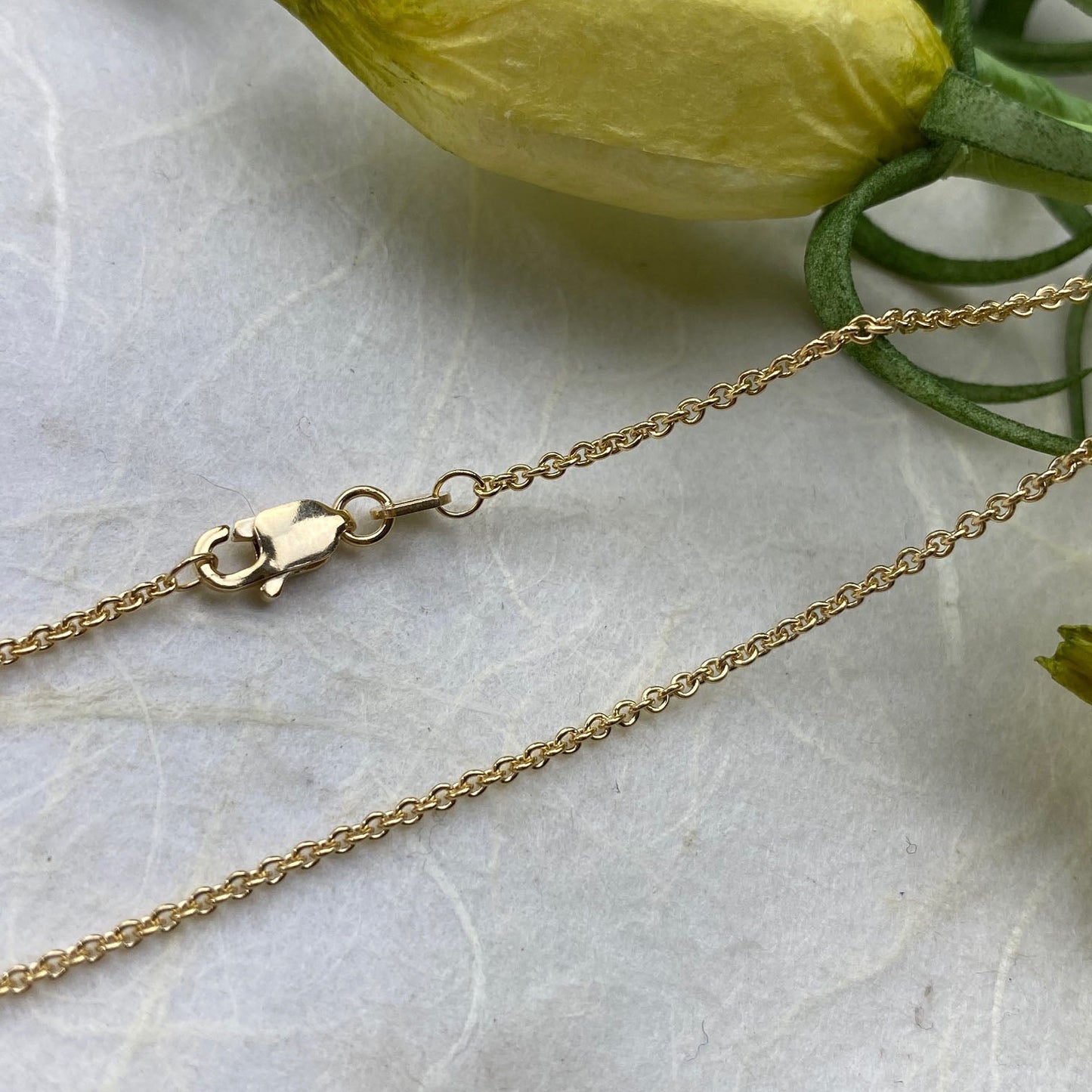 14k Yellow Gold Sturdy and Dainty Chain - Mettle by Abby