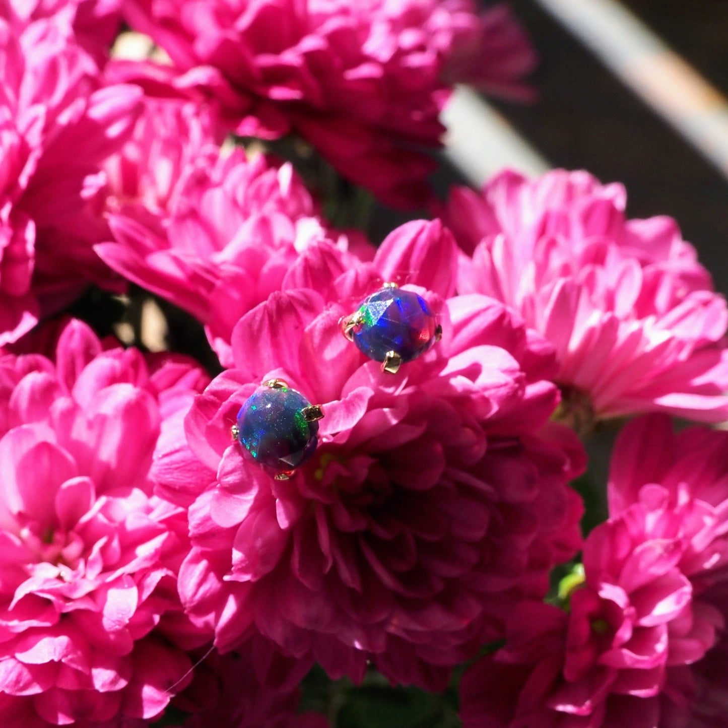 14k Black Opal Studs - Mettle by Abby