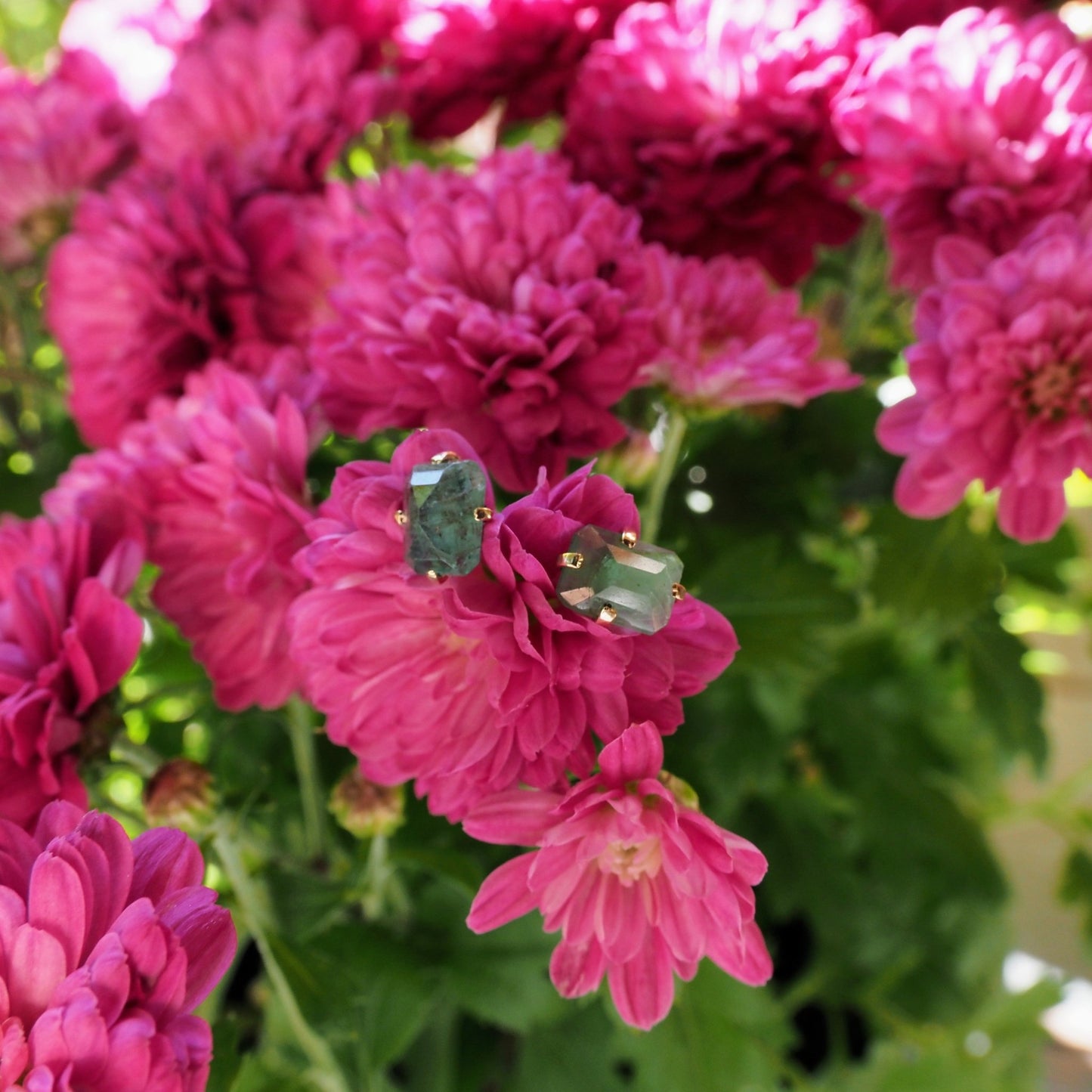 14k Emerald Studs - Mettle by Abby