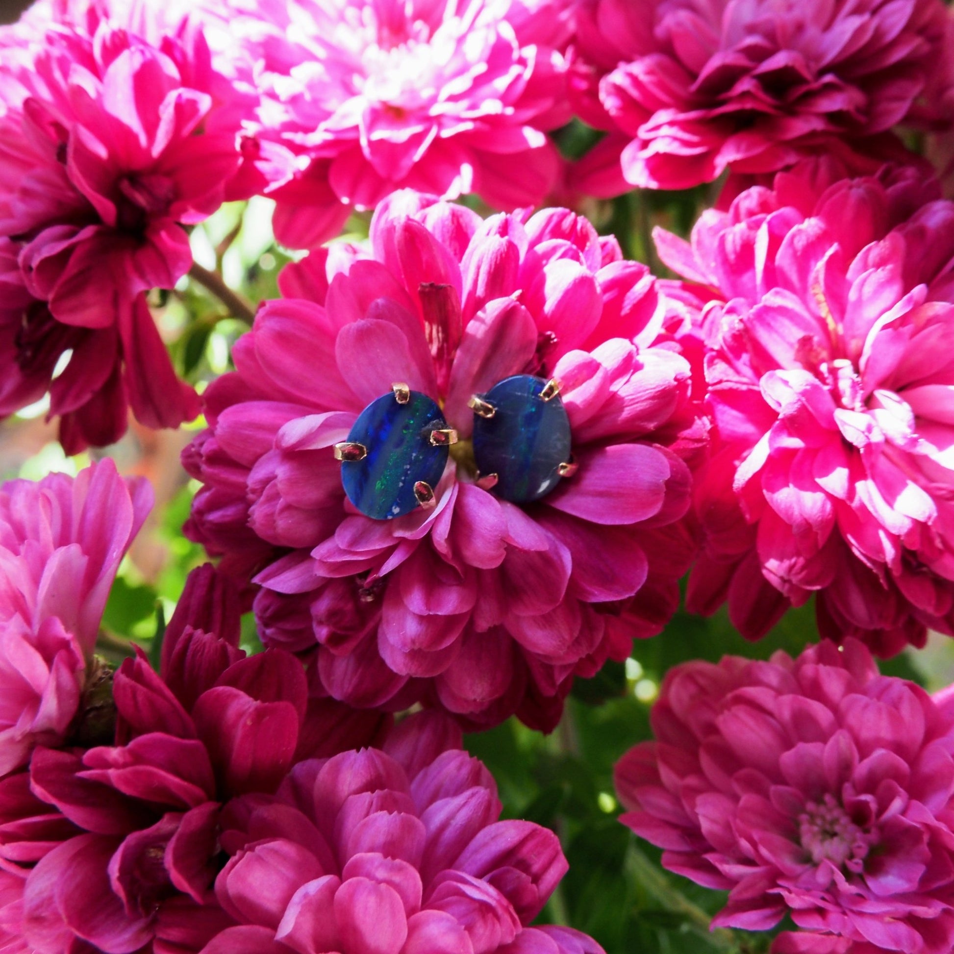 14k Opal Doublet Studs - Mettle by Abby