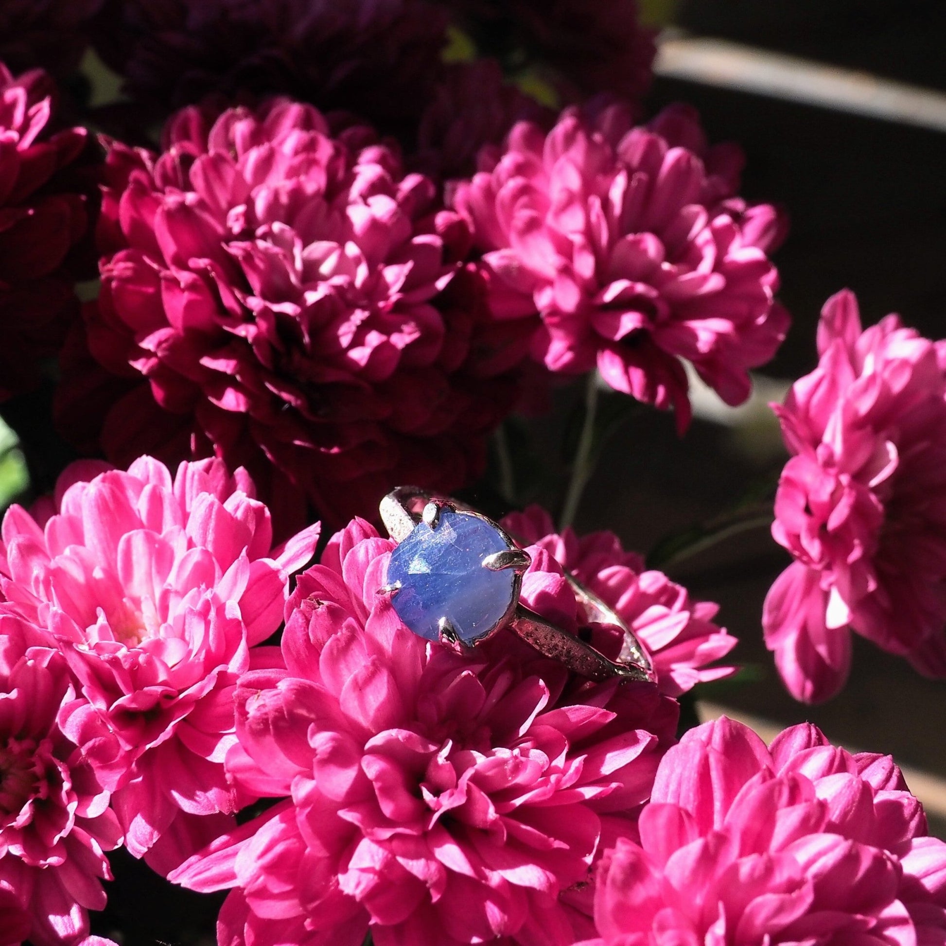 14k Star Dust Sapphire Ring - Mettle by Abby
