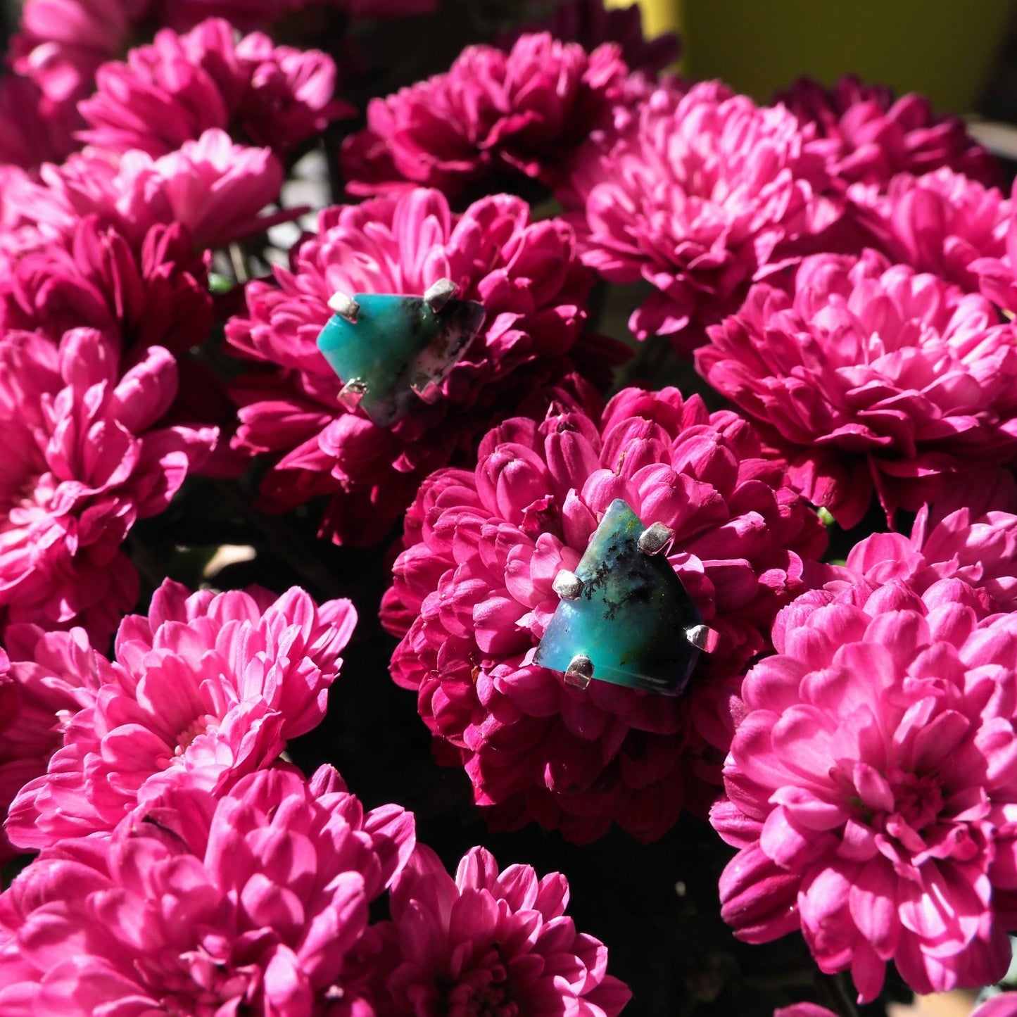 Peruvian Wood Opal Studs - Mettle by Abby