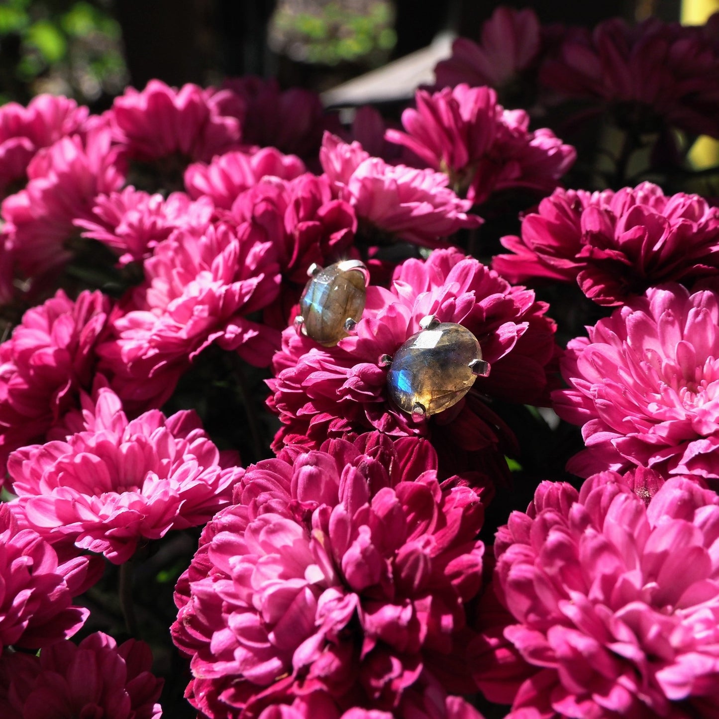Rose Cut Labradorite Studs - Mettle by Abby