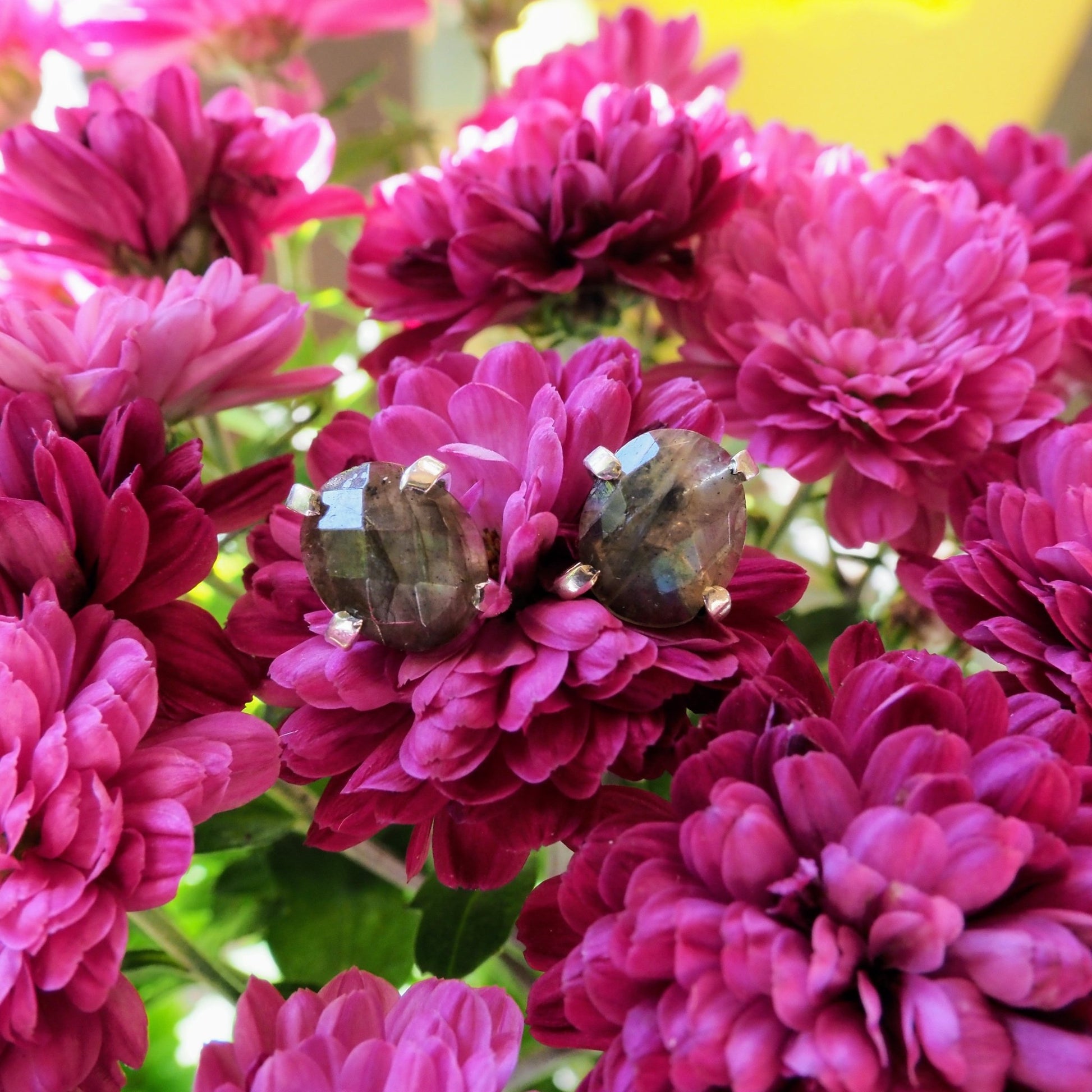 Rose Cut Labradorite Studs - Mettle by Abby